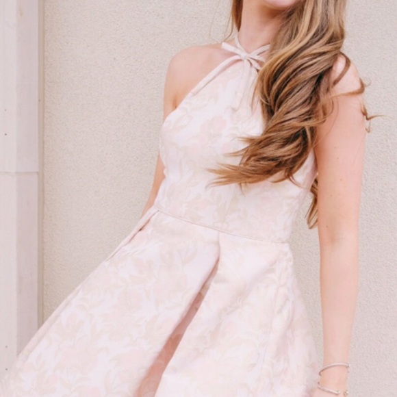 Gal Meets Glam Evelyn Holly Jacquard Halter Dress - Picture 8 of 14